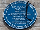 Gayle, Aaron (id=9652)